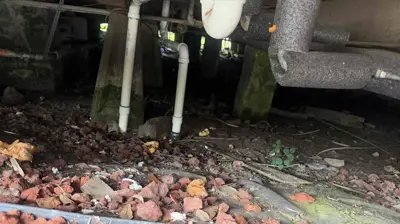 Bathroom Drain Repair Photo