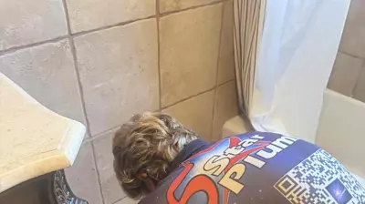 Bathroom Drain Repair Photo