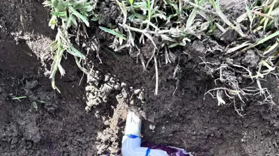 Broken PVC Water Line Repair in Youngsville, LA Front Yard (Near